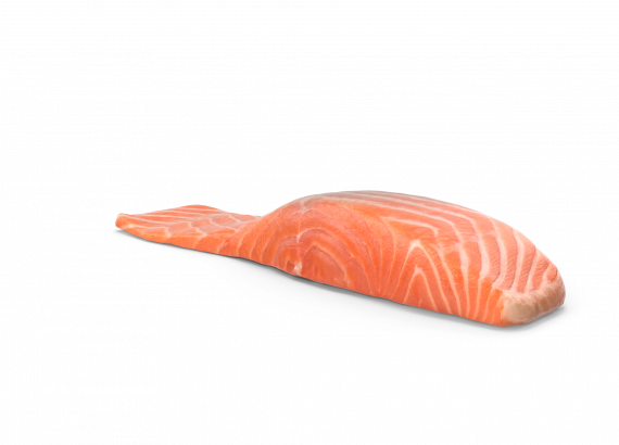 Salmon Filet
