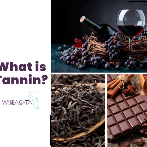 What is Tannin in Wine?