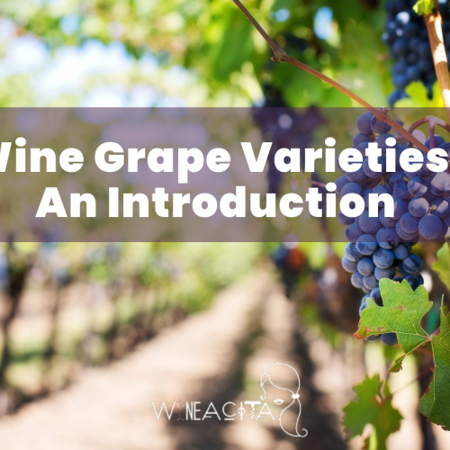 Introduction to Grape Varieties