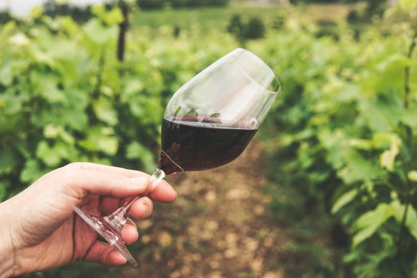 Understanding Red Wine: A Guide To Varieties, Tastes, and Pairings