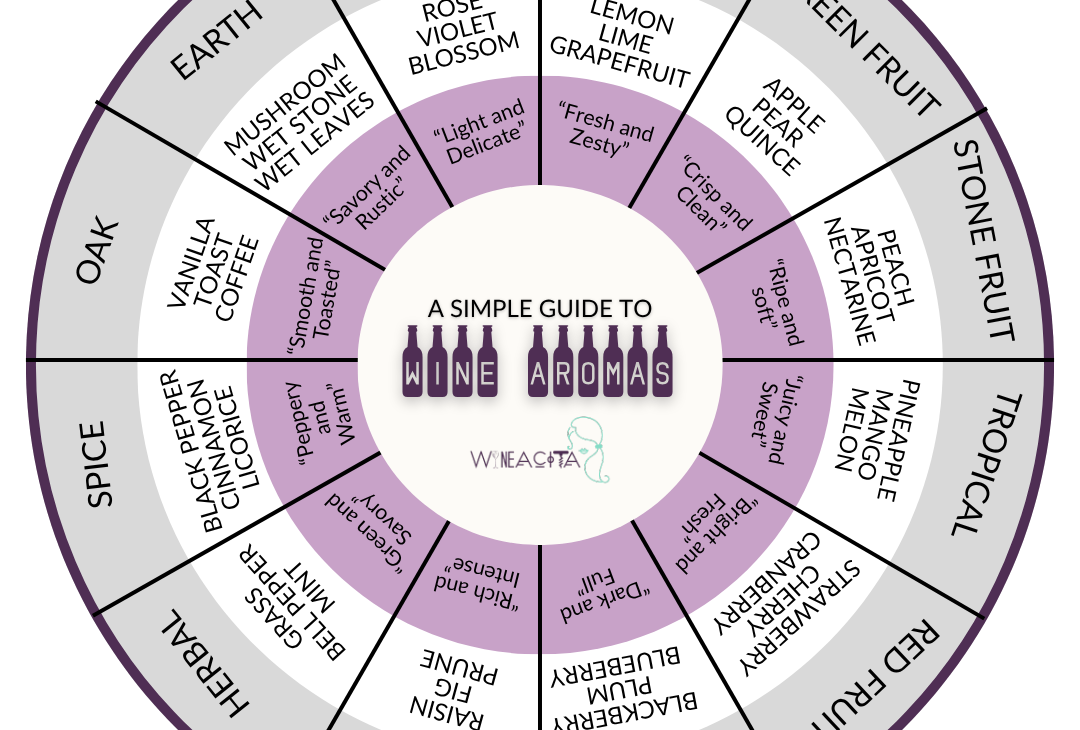 Wine Aroma Wheel by Wineacits
