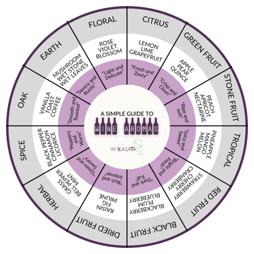 Wine Aroma Wheel for Beginners
