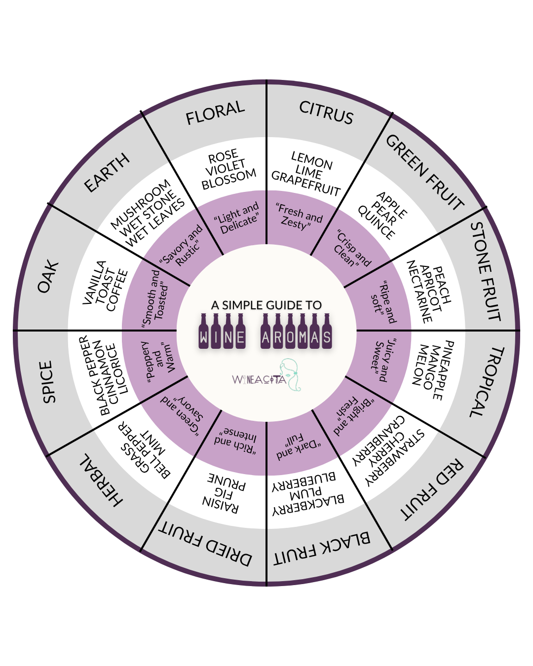Wine Aroma Wheel by Wineacits